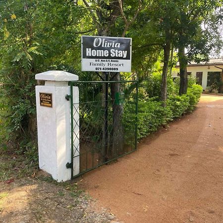 Olivia Homestay Anuradhapura Esterno foto