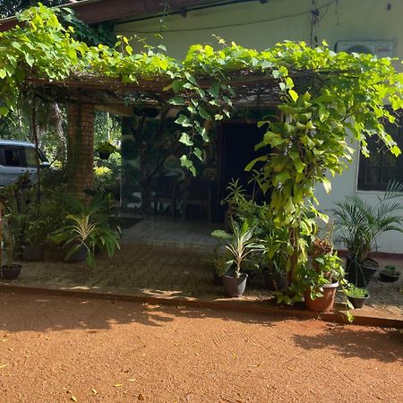 Olivia Homestay Anuradhapura Esterno foto