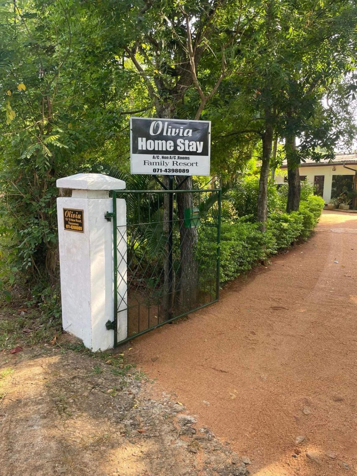 Olivia Homestay Anuradhapura Esterno foto