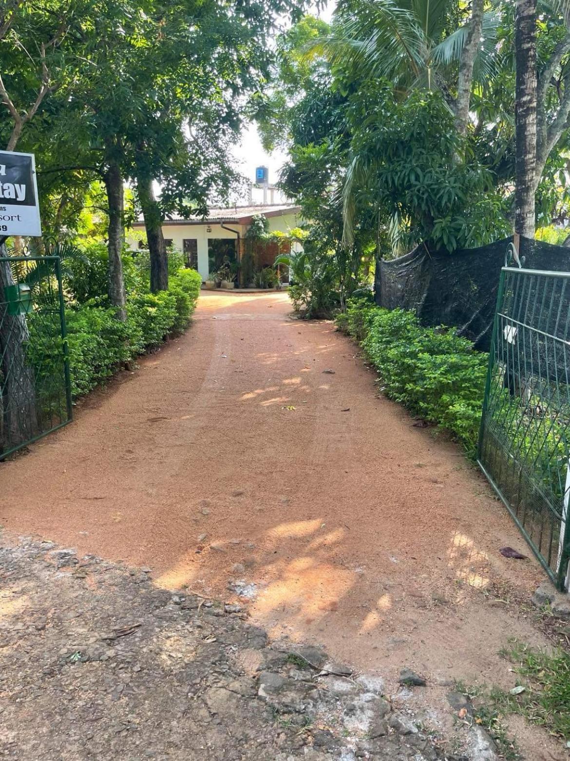 Olivia Homestay Anuradhapura Esterno foto