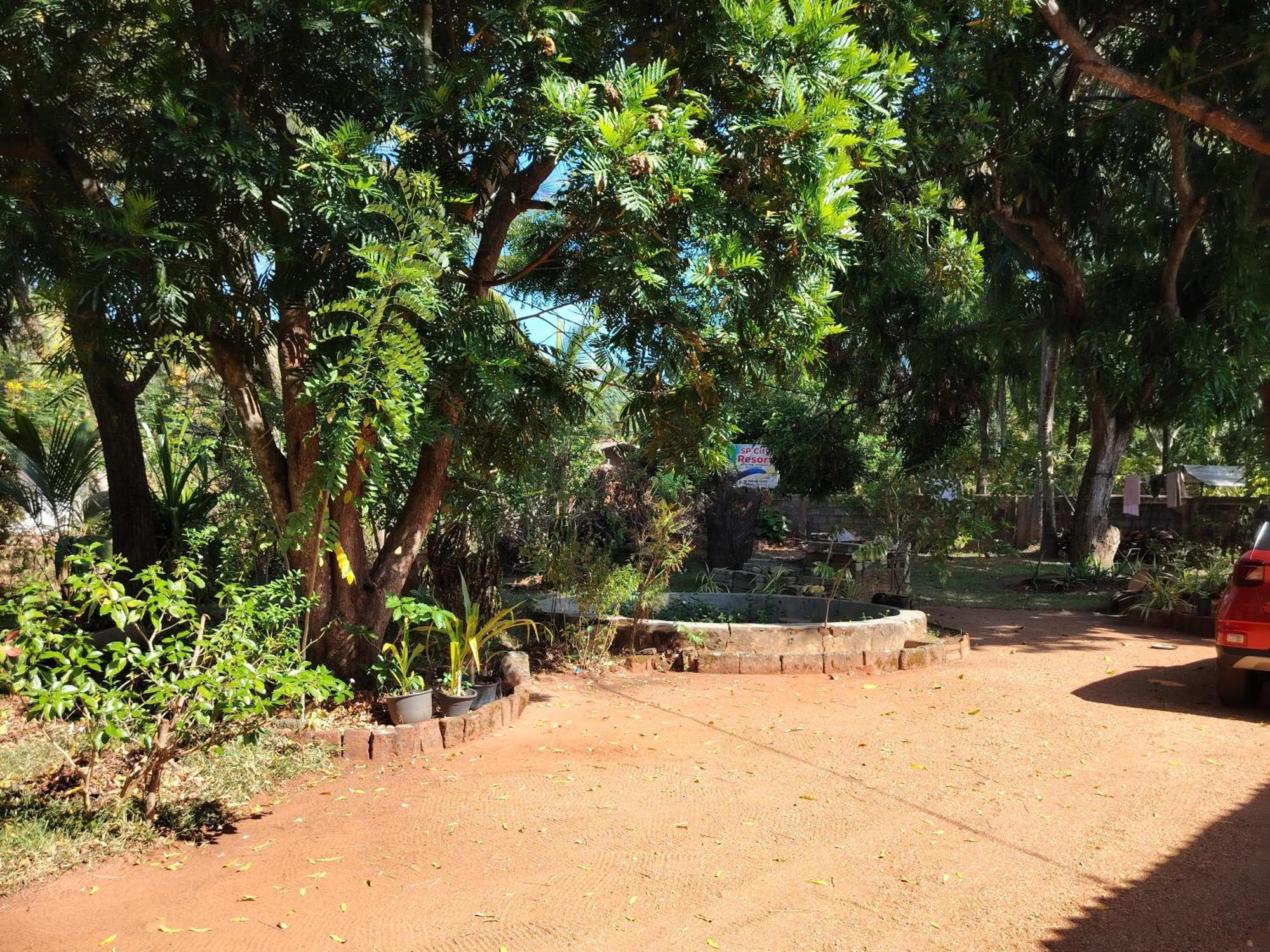 Olivia Homestay Anuradhapura Esterno foto