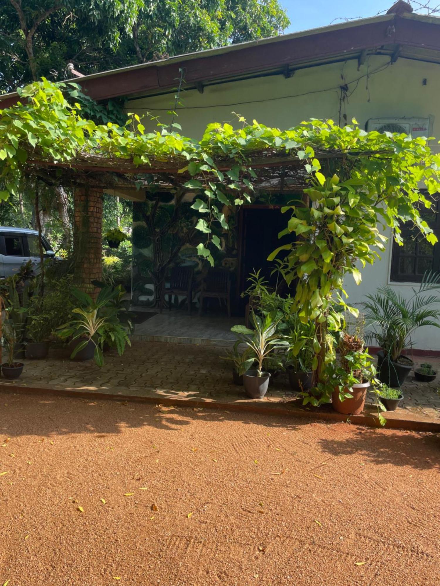 Olivia Homestay Anuradhapura Esterno foto