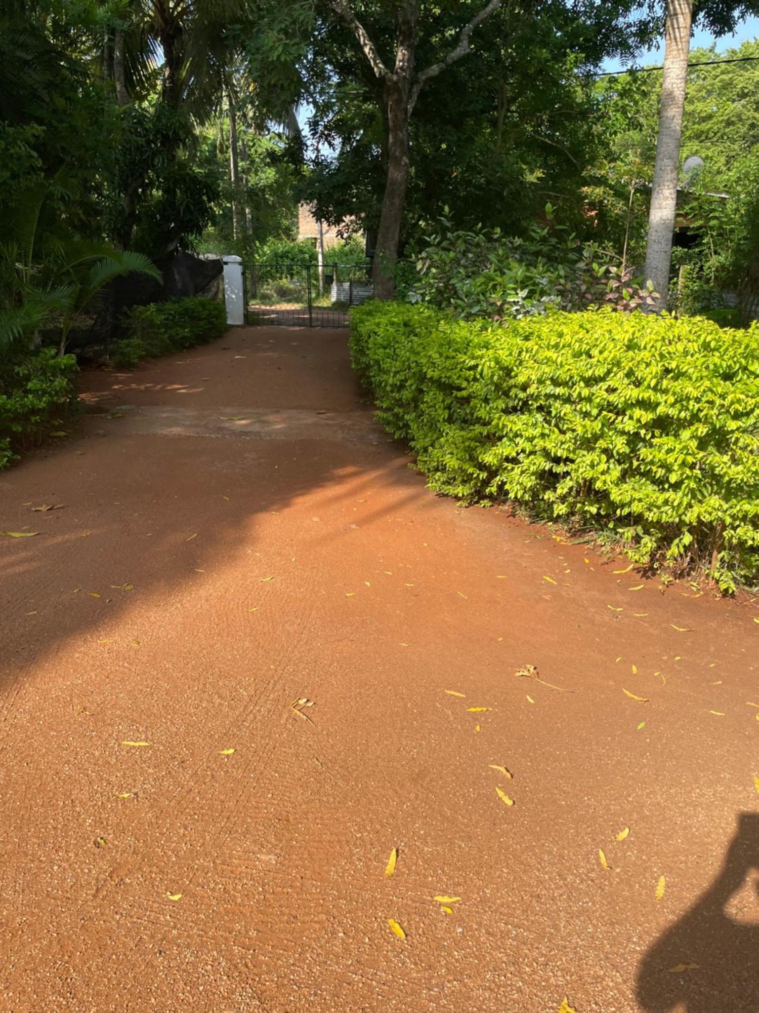 Olivia Homestay Anuradhapura Esterno foto