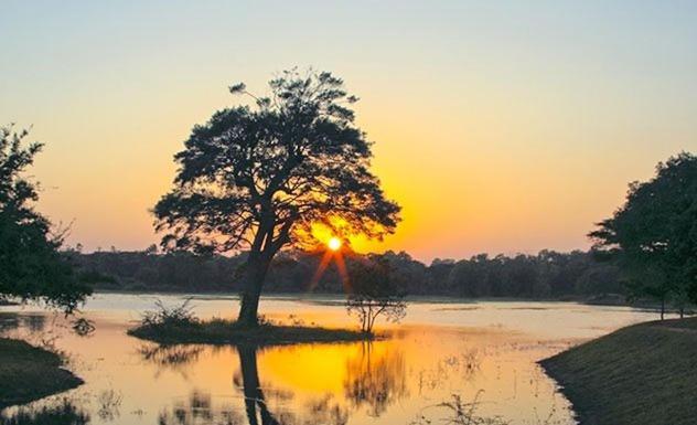 Olivia Homestay Anuradhapura Esterno foto
