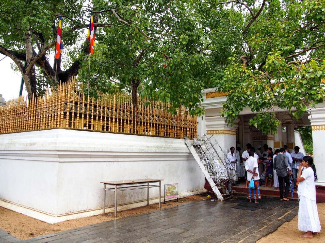 Olivia Homestay Anuradhapura Esterno foto